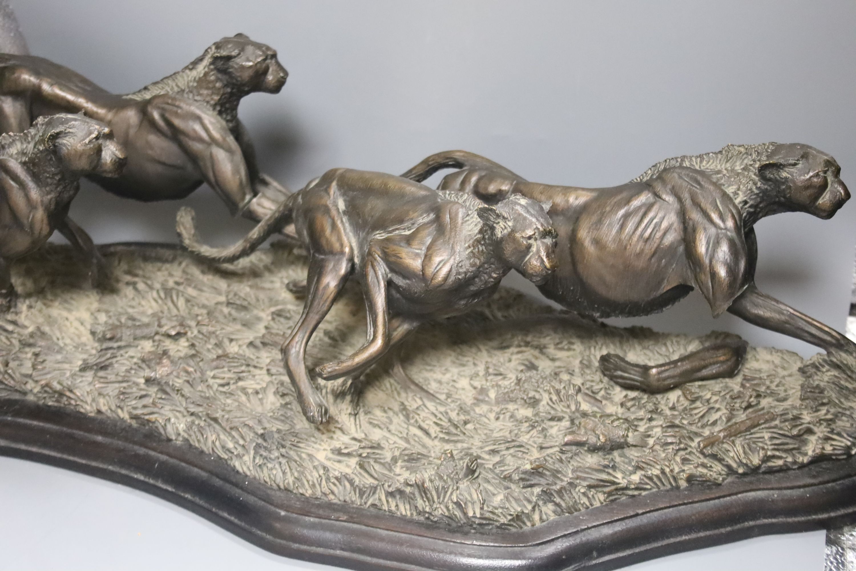 Tim Nicklin, three bronzed resin models of animals, Four cheetahs, 6/10, Pelican, 5/20 and Lioness, 2/10, largest 73cm, all with some degree of damage